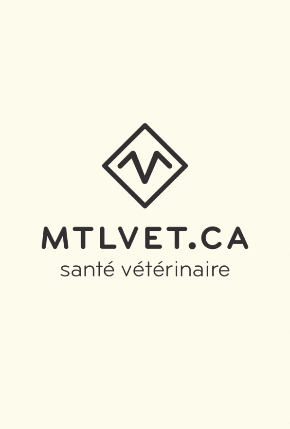 atelier6_mtlvet_anim_01 1